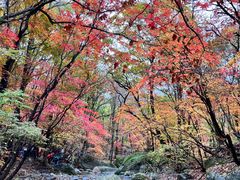 -本溪老边沟风景区