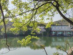 -白马涧龙池景区