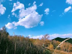 -灵山