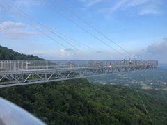-呀诺达热带雨林
