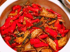 农家口味蛇肉-湘潭九龙鱼头店(城南西路店)