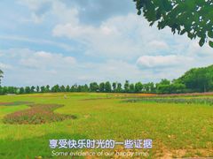 -花博汇(知音花月夜)