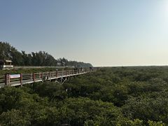 -北海金海湾红树林生态旅游区