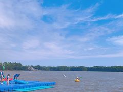 -上海海湾国家森林公园