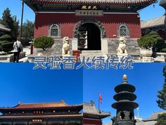 -天津大悲禅院
