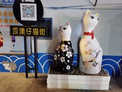 -猫咪博物馆(顶澳仔猫街店)