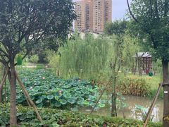 -沐仙湖湿地公园