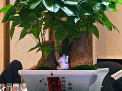 -HOHO餐厅(古子城店)