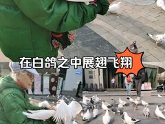 -中粮·祥云小镇