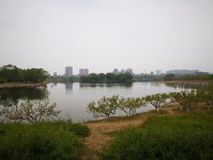 景点-白浮泉公园