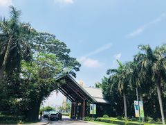 -深圳隐秀山居酒店