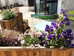 -香草意餐厅(杏石口路店)