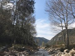 -驼梁风景区
