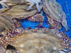 -三个渔夫·蒸汽海鲜(小白楼店)