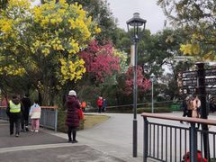 -金鸡山公园