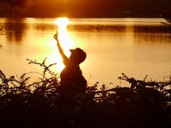 -大兴滨河森林公园