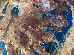 -众彩物流水产市场