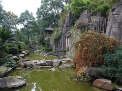 -南山植物园