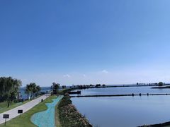 -合肥滨湖国家森林公园