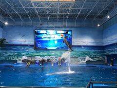 -多彩贵州城极地海洋世界