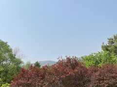 -鹫峰国家森林公园