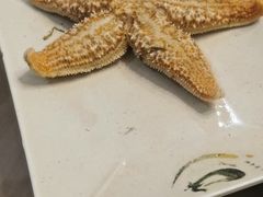 -大锅强·蒸海鲜青岛菜(吾悦广场店)