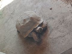 -石家庄市动物园