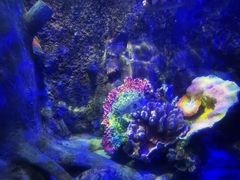 -太平洋海底世界博览馆·展览厅