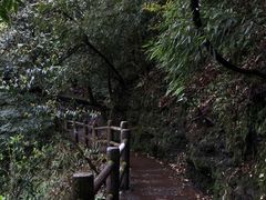 -龙苍沟森林公园