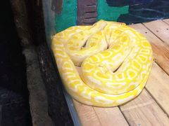 -石家庄市动物园