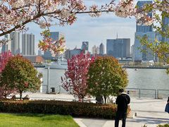 -北外滩滨江绿地