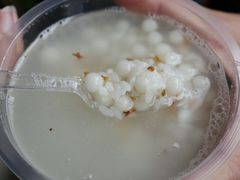 -潘玉麟糖粥