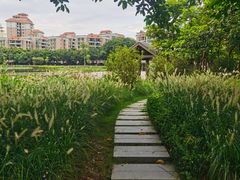-映月湖公园