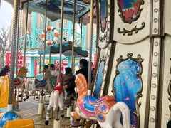 -海合安成都极地海洋公园