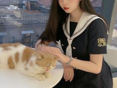 -怪兽屋·羊驼·猫咖·狗咖(俊华广场店)