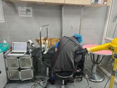 -宠福鑫康馨动物医院·骨科·眼科