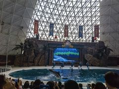 -皇家极地海洋世界-售票处