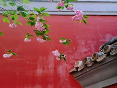 -北京艺术博物馆(万寿寺)