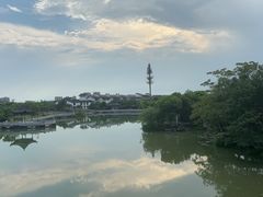 -八大山人梅湖景区