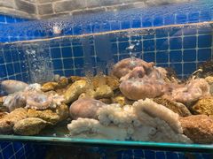 -健眺小海鲜(临海后山店)