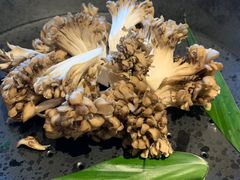 -煲宫猪肚鸡(晶品店)
