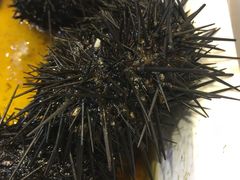 -赶海部落海鲜城(海阳路店)