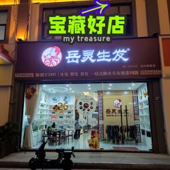 -岳灵生发养发馆