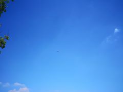 -春花秋色城市公园