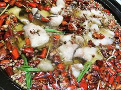-庆合府重庆大排档(紫都城店)