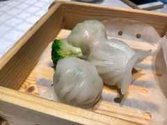 维景虾饺皇-南宁荔园维景国际酒店·荔园中餐厅