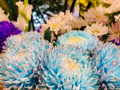 -Olé精品超市(上海港汇恒隆店)