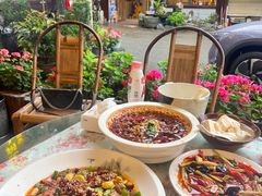 -龙翔山庄雷鸡肉(青城后山泰安古镇店)