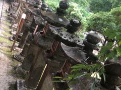 -奈良公园