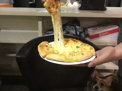 -百好乐宠物友好餐厅(朝外大街店)